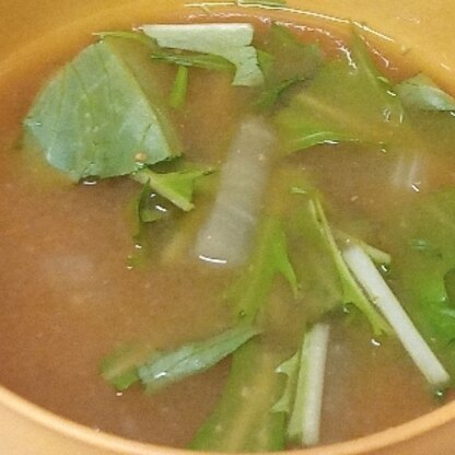 水菜おいしかったです♪